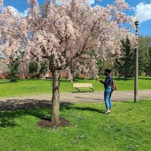 Meet your Posher, Sydney